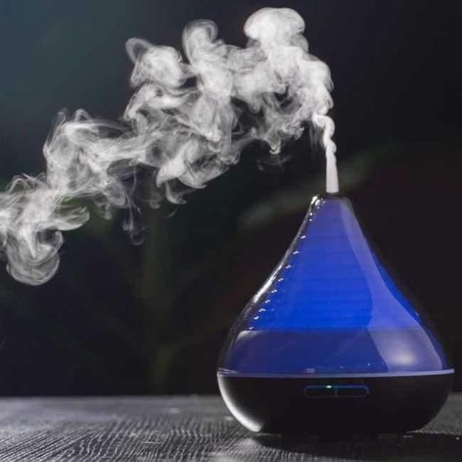 A Colourful Kiss - Black - Humidifiers