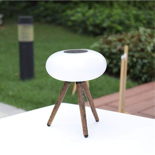 Ethnic - Dark Wood / Changeable - Desk Lights