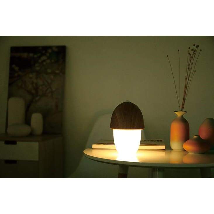 Lighting Up The Acorn - Desk Lights