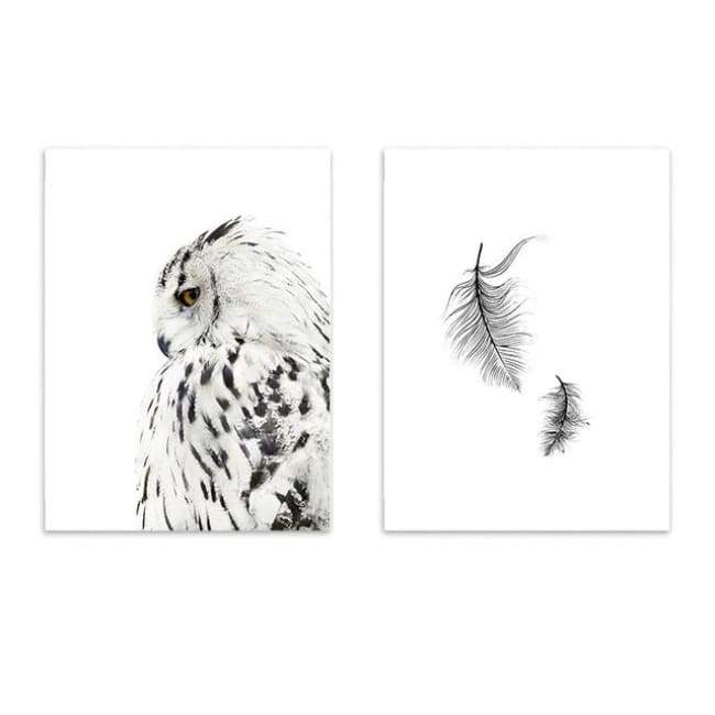 Owls & Feathers - 20X30 Cm (8X12 Inches) / Combo 2