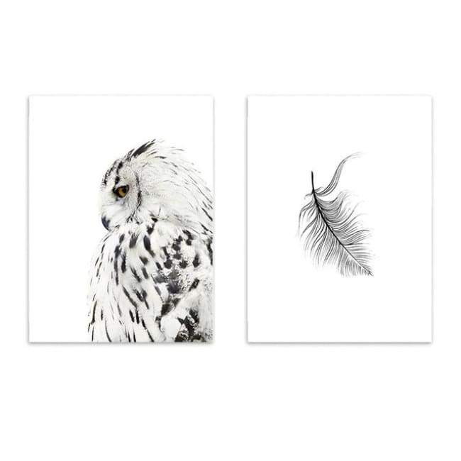 Owls & Feathers - 20X30 Cm (8X12 Inches) / Combo 1