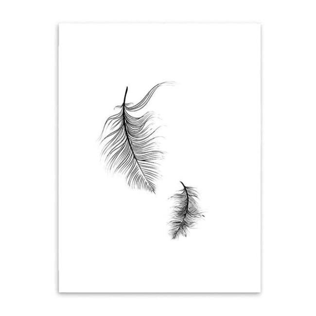Owls & Feathers - 20X30 Cm (8X12 Inches) / Feather 2