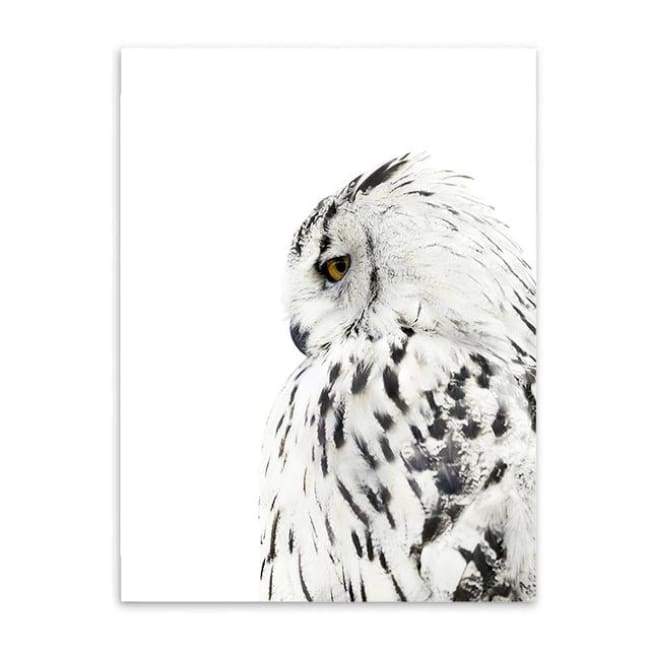Owls & Feathers - 20X30 Cm (8X12 Inches) / Owl