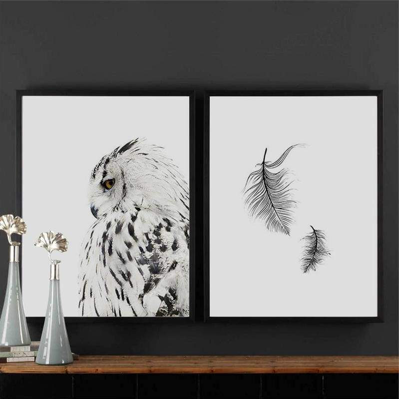 Owls & Feathers