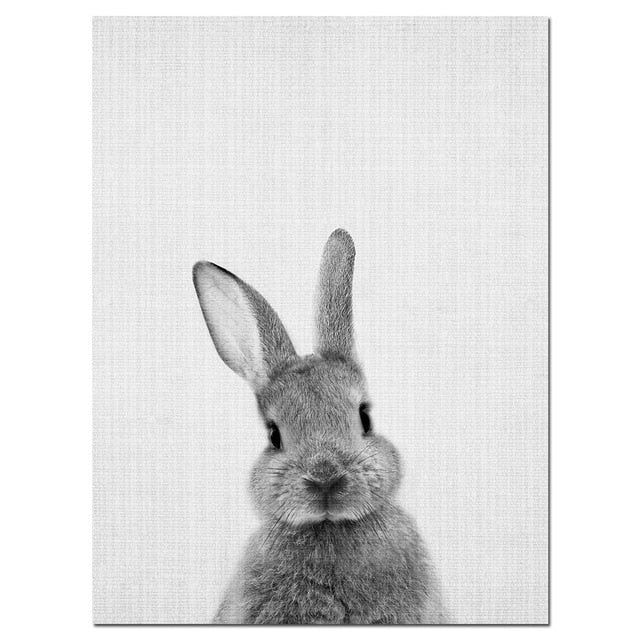 Monochromatic Bunny - bulbenhouse