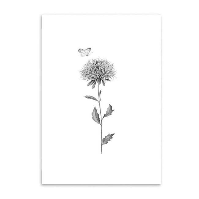 The Mountain Flower - 20X25Cm (8X10 Inches) / Flower 1 - Prints